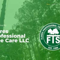 Flores-profesional-treecare